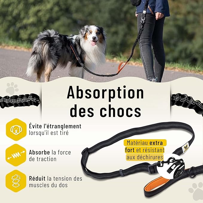 Woof Free® - La Laisse Mains Libres !