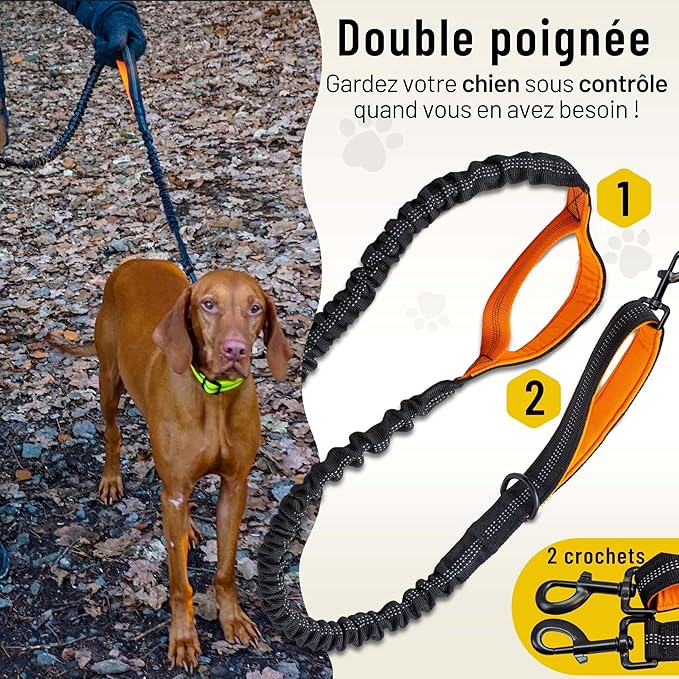 Woof Free® - La Laisse Mains Libres !