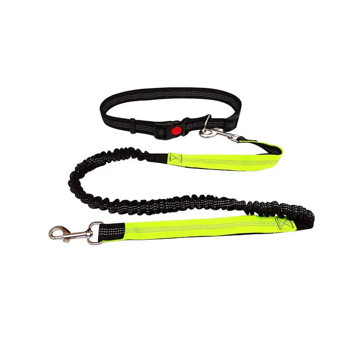 Woof Free® - La Laisse Mains Libres !