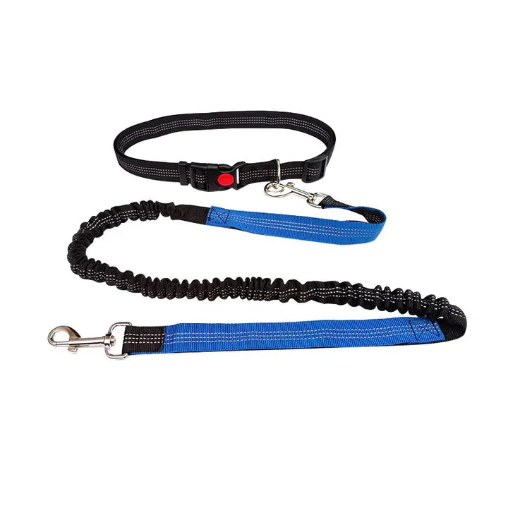 Woof Free® - La Laisse Mains Libres !