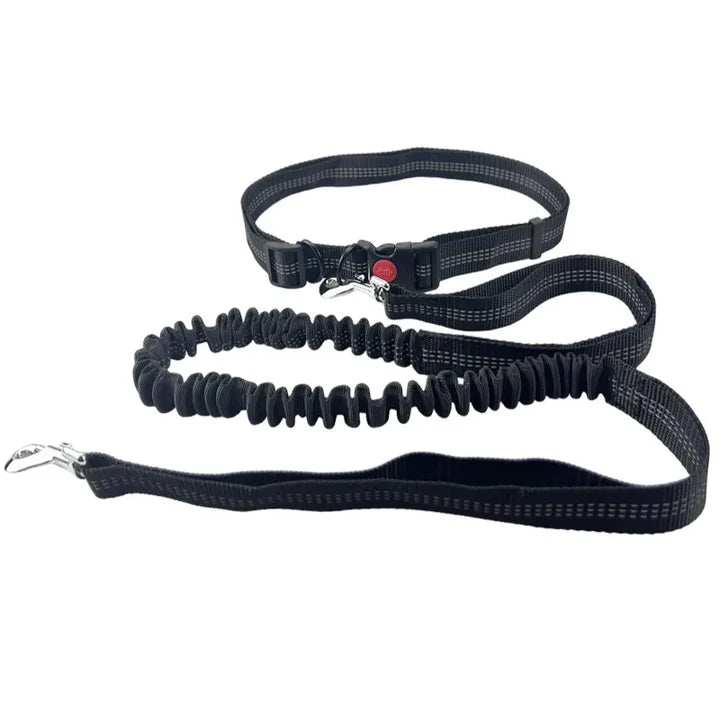 Woof Free® - La Laisse Mains Libres !