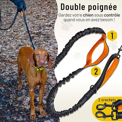 Woof Free® - La Laisse Mains Libres !