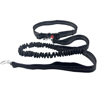 Woof Free® - La Laisse Mains Libres !